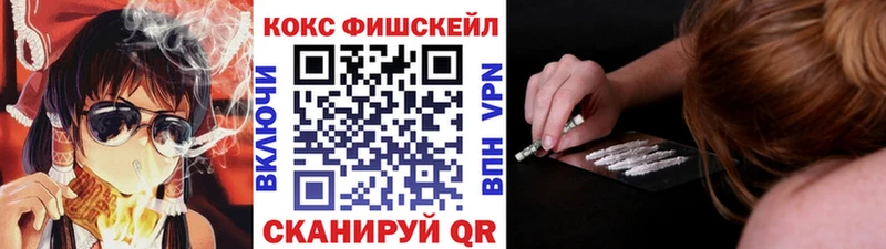COCAIN Fish Scale  MEGA как зайти  Дигора 