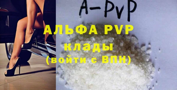 индика Бугульма