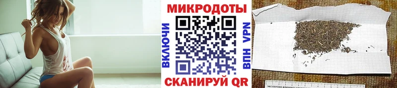 блэк спрут как зайти  Дигора  Галлюциногенные грибы Cubensis 