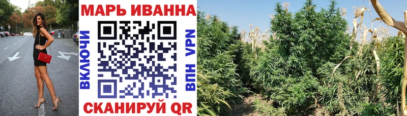 магазин продажи   Дигора  Канабис OG Kush 